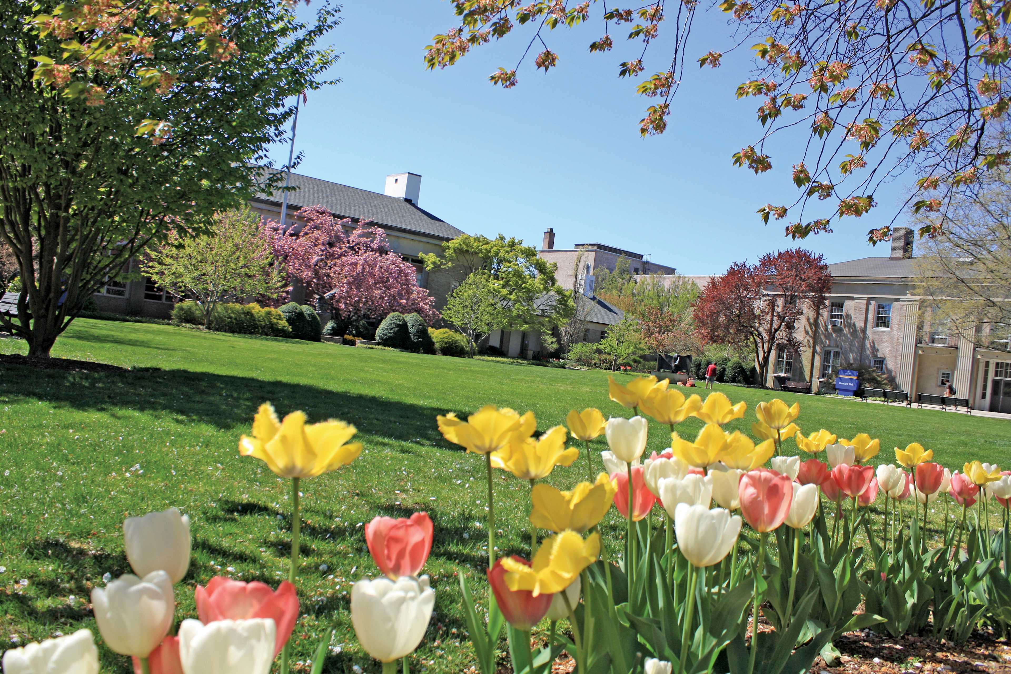 Partner Portal Hofstra University Campus Life Student Housing
